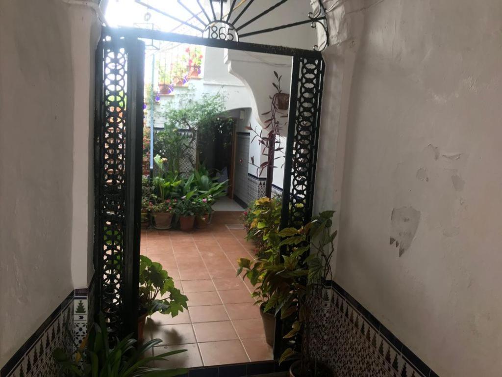 Antonio Ureba 9 Apartamento Conil De La Frontera Exterior foto